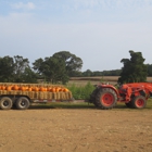 LLoyd Family Farm