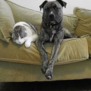 Boyle's Pet Sitting Service - Pet Sitting & Exercising Services