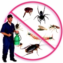 Amigos Pest Solution - Pest Control Services