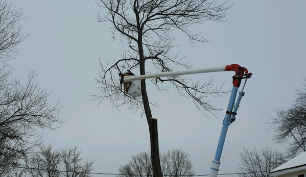 The Tree Fellas - lebanon, ME