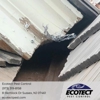 Ecotect Pest Control gallery