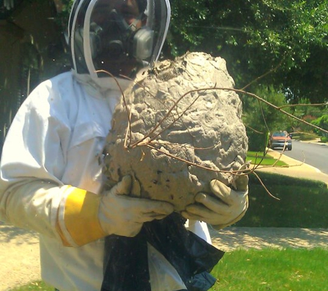 Biz-zz Bee Farms Pest Control - San Antonio, TX