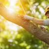 Bergenfield Tree Service gallery