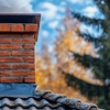 The Chimney Swifts gallery