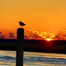 Snug Harbor Marina and Hotel - Boat Rental & Charter