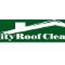 Padovani Roofing Roof Cleaning & Construction - Roof Cleaning