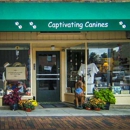 Captivating Canines - Pet Services
