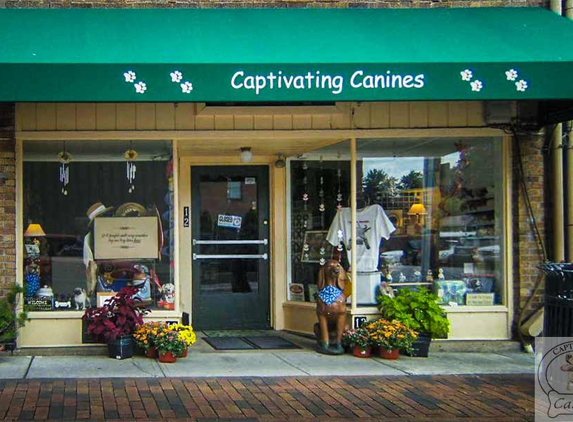 Captivating Canines - Westerville, OH