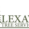 Alexa's Tree Service gallery