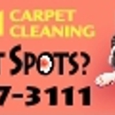 A-1 Carpet Cleaning - Carpet & Rug Cleaners