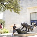 Texas Science & Natural History Museum - Tourist Information & Attractions