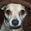 Lemay Animal Hospital Inc gallery