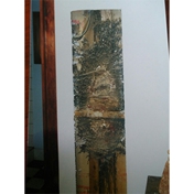 Gallery Image Number 4