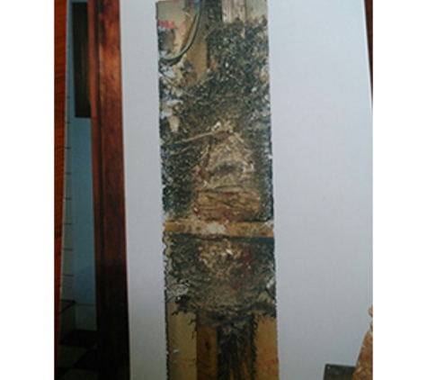 Boonah - Beaudesert Termite Specialist - Beaudesert, QLD. Termite nest detected during Inspection