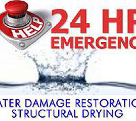 A Spot on Carpet Cleaning and maintenance