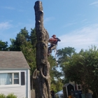 Arels Tree Service