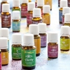 Young Living Essential Oils gallery