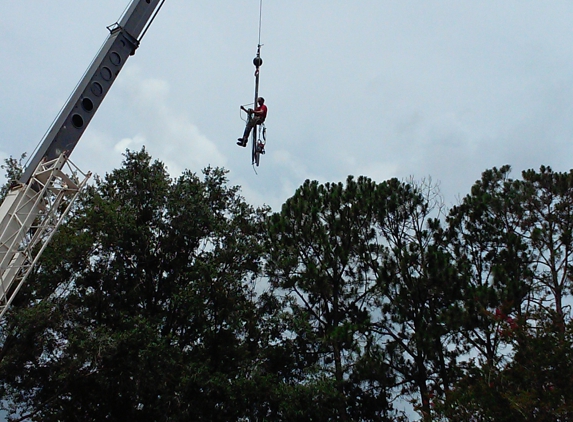 Custom Tree Surgeons - Jacksonville, FL