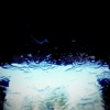 Mister Car Wash gallery