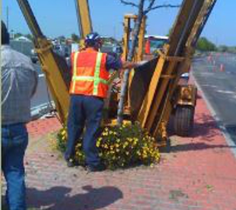 General  Tree Service - Bakersfield, CA