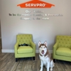 Servpro of The Dutch Fork gallery