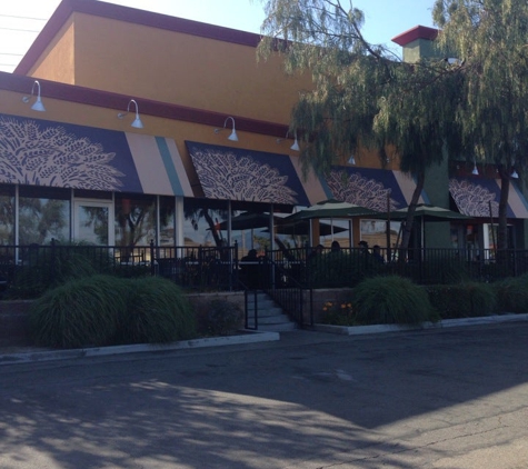 Panera Bread - Lake Forest, CA