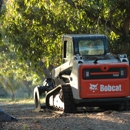 Mike's Bobcat Service - Stump Removal & Grinding