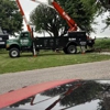 Goins Tree Service gallery