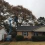 Desoto Tree Service