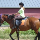 Equi-librium with Dorothy Crosby - Horse Training