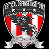 Critical Defense Institute gallery