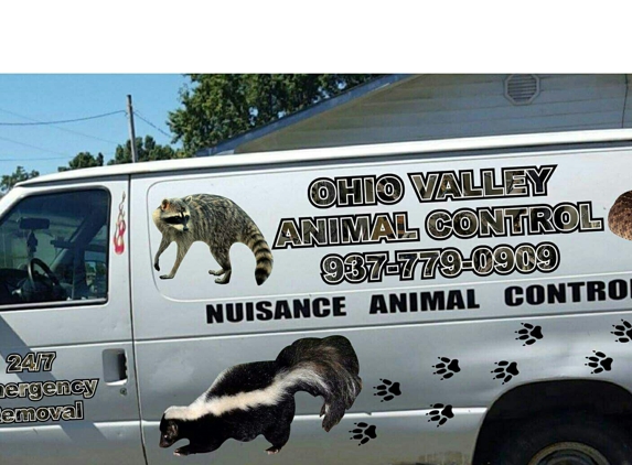 Ohio Valley Wildlife Control - West union, OH