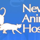 Newport Animal Hospital