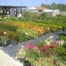 Keep It Green Nursery - Garden Centers