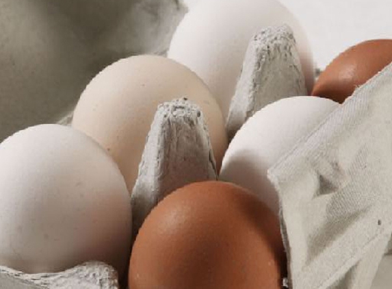 Fresh Farm Eggs Pty Ltd - Greystanes, NSW