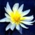 Brook Linda - Hypnotherapy & Hypnosis