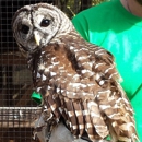 TreeHouse Wildlife Center - Rehabilitation Services