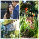 Cardella Winery - Wineries