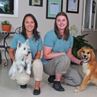 Fit 'N' Furry Pet Resort & Training Center
