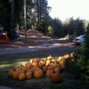 Bolster's Hilltop Ranch & Winery - Wine