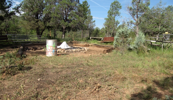 Sacramento Mountain Retreat - Mayhill, NM. Ready for a campfire! Bleachers and fire hole.