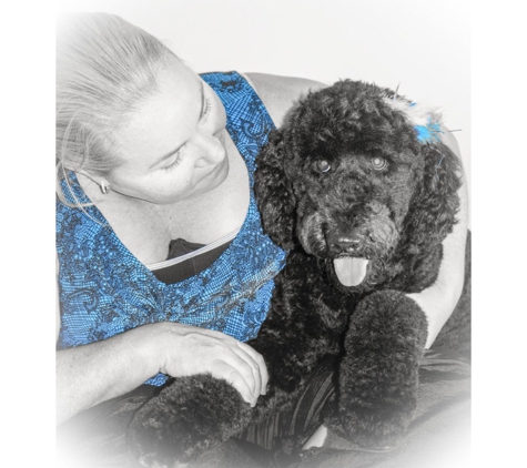 Lake Macquarie Dog Grooming - Eleebana, NSW