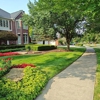 Eco Lawns gallery