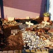 Gallery Image Number 2