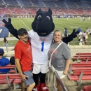 Stephanie Pruitt: Allstate Insurance - Insurance Consultants & Analysts