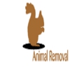 A-1 Nuisance Animal Removal gallery