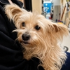 Happy Tails Animal Hospital gallery