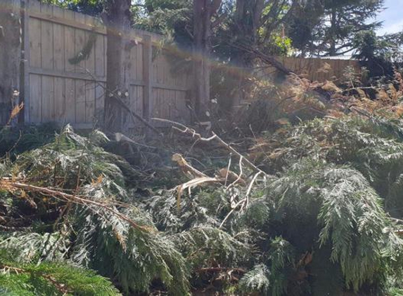 WW Tree & Garden Service - Ringwood, VIC