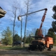 Martin's Tree Service