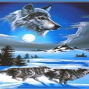 Wolfs Creations - Web Site Design & Services